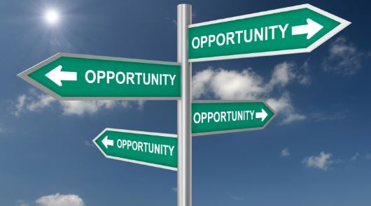 How To See What Type Of Opportunities You Have Productivity Tools 